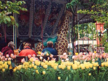 tivoli12